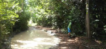 Lagoa seca pela monocultura de eucalipto renasce no Território Quilombola
