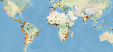 Impactos da Aracruz Celulose no Estado são denunciados em mapa mundial de conflitos