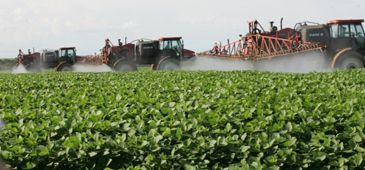 Mesmo com reconhecimento da agricultura familiar, governo federal destina maiores esforços ao agronegócio