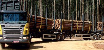 Carreteiros paralisam as atividades de transporte de madeiras para a Aracruz  Celulose (Fibria)