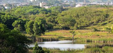 VI Caminhada Ecológica pede criação do Parque Natural Lagoa Encantada
