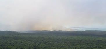 Incêndio no Parque César Vinha atinge 100 hectares de mata nativa