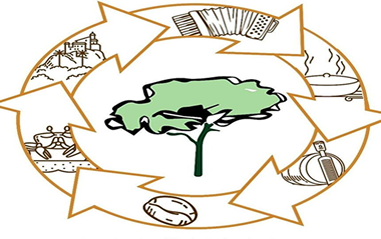 I Encontro Capixaba de Educação Ambiental acontece em setembro