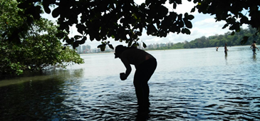 Palestra na Ufes aborda contaminação do manguezal de Vitória por pó preto