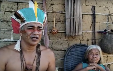 Aldeia indígena de Aracruz concorre a prêmio nacional para reflorestamento