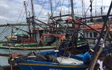 Fundação Getúlio Vargas inicia levantamento de danos da cadeia da pesca
