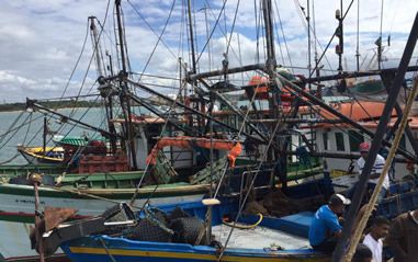 ‘O setor da pesca vai parar?’, questionam pescadores de camarão