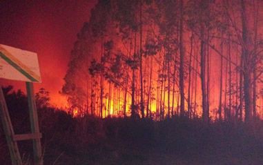 Incêndio em área da Suzano se alastra até Terra Indígena
