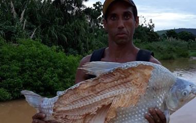 Samarco pede fim da proibição da pesca alegando baixa contaminação das águas