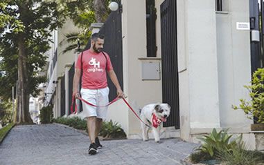 Aplicativo de hospedagem para cães lança serviço de passeios em Vitória