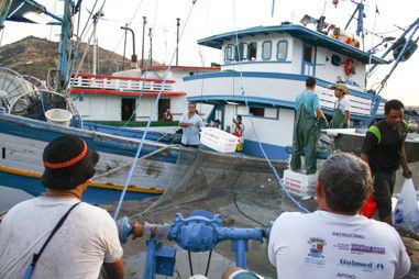 Promessa de auxílio do governo federal é enganação, diz pescador