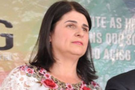 Vereadora retira assinatura e impede CPI da Faps em Guaçuí 
